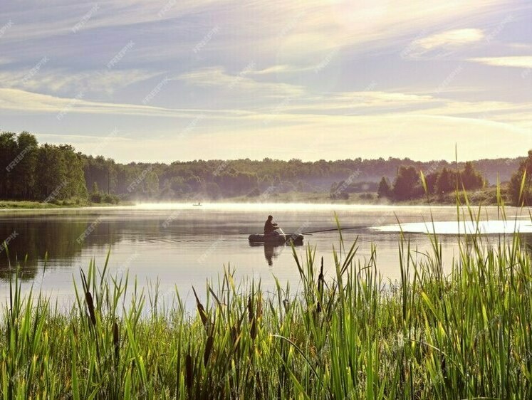 Изображение Озеро Сенеж соберет любителей спортивной рыбалки
