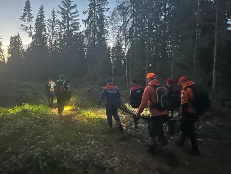 Изображение Вышла из леса живой: 73-летнюю женщину спасли после недели поисков