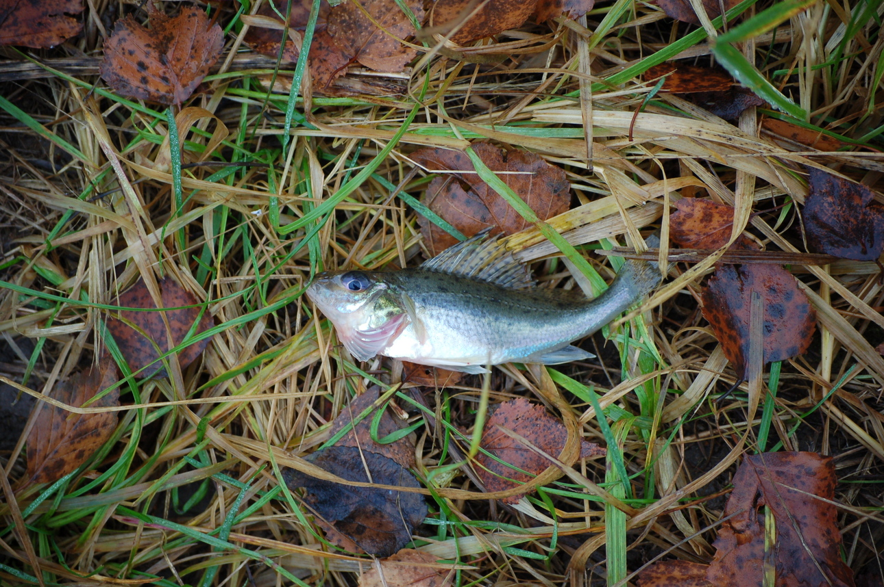 Изображение Фото: Яншевского Андрея. 