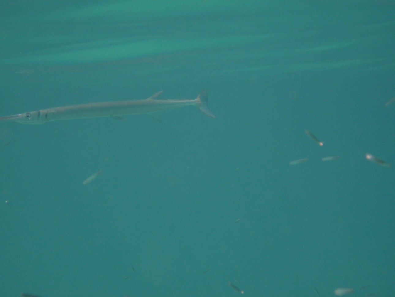 Изображение Фото: Антонюка Ильи. 