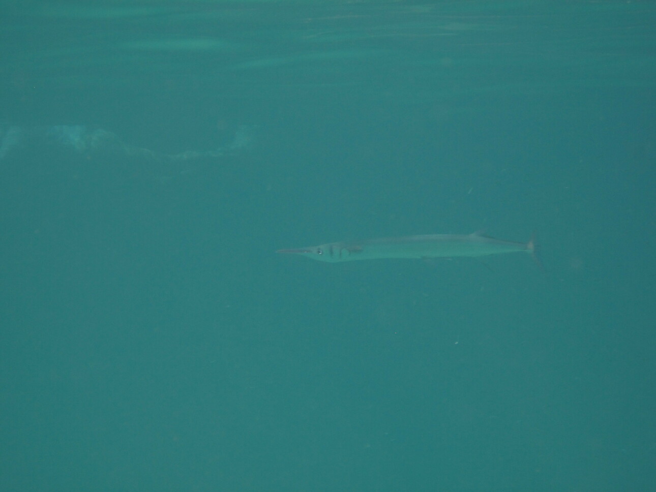 Изображение Фото: Антонюка Ильи. 