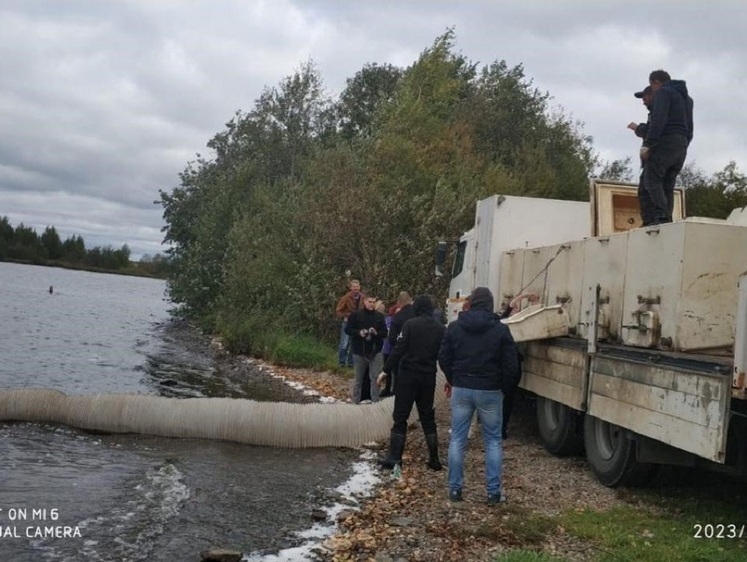 Изображение Зарыбление стерлядью прошло под контролем рыбоохраны