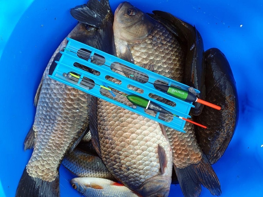 Изображение Фото: Коломийца Алексея. 