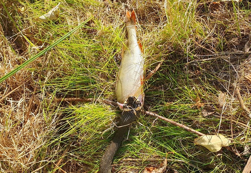 Изображение Фото: Коломийца Алексея. 