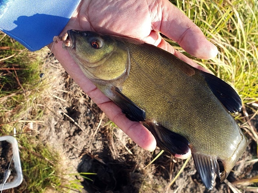 Изображение Фото: Коломийца Алексея. 