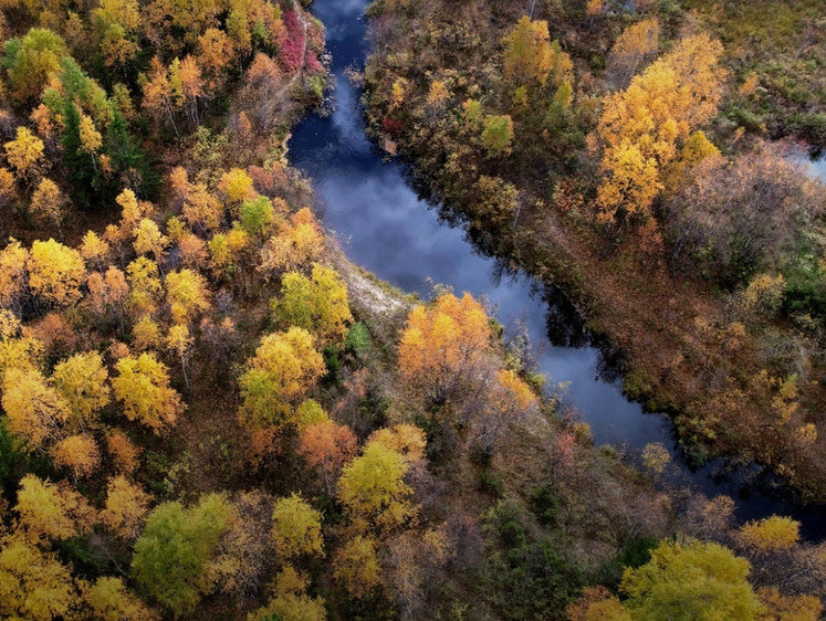 Изображение Теперь в натуре в прокуратуре: чиновники Салехарда попали на контроль