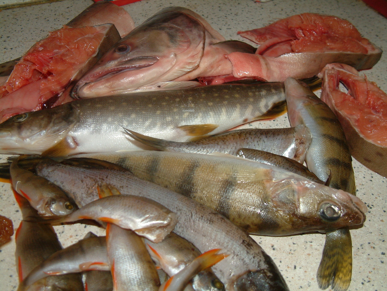 Изображение Фото: Токарева Александра. 