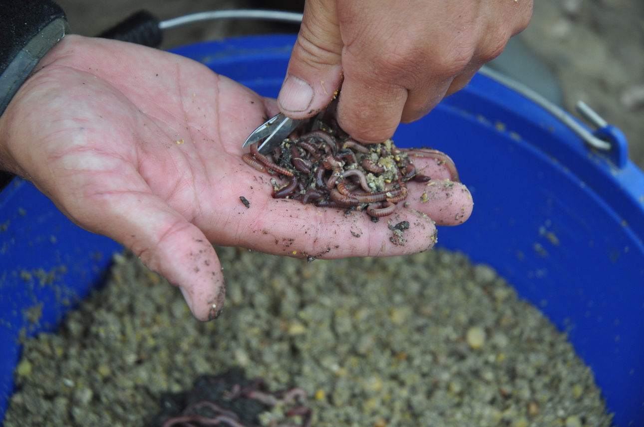 Изображение Фото: Линника Николая. 