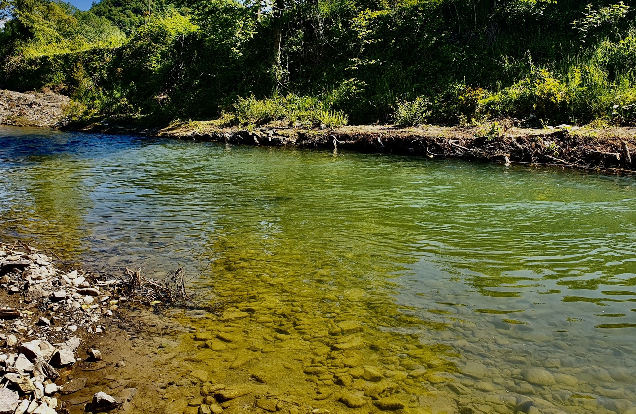 Изображение Перспективное место на речке выглядит вот так. Фото: Шеляга Геннадия. 