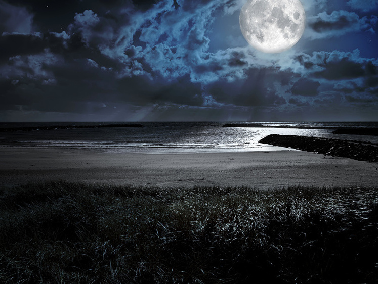 Изображение В Красноярском крае ночной охотник с лодки убил туриста на берегу