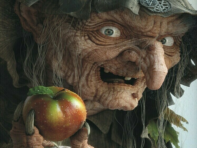 Изображение Прекратите поедать грибы: биолог рассказала о вреде ведьмачьей кухни