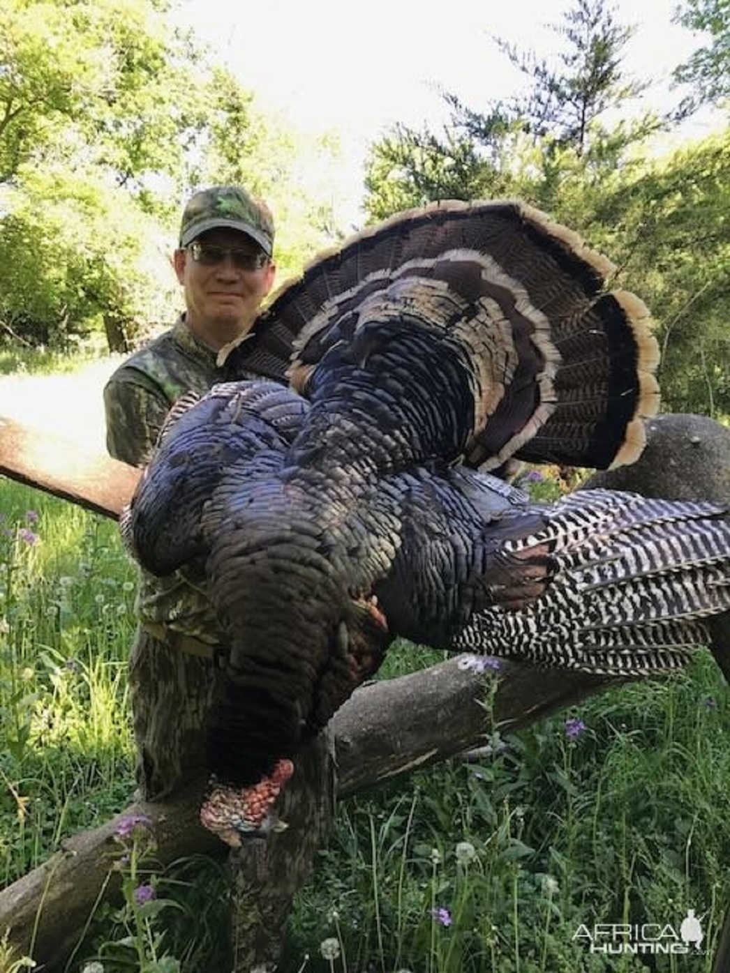 Изображение Фото: africahunting.com