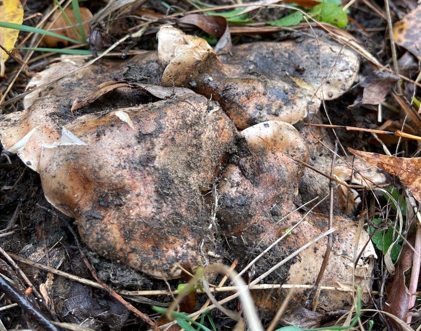 Изображение Фото: Коломийца Алексея. 