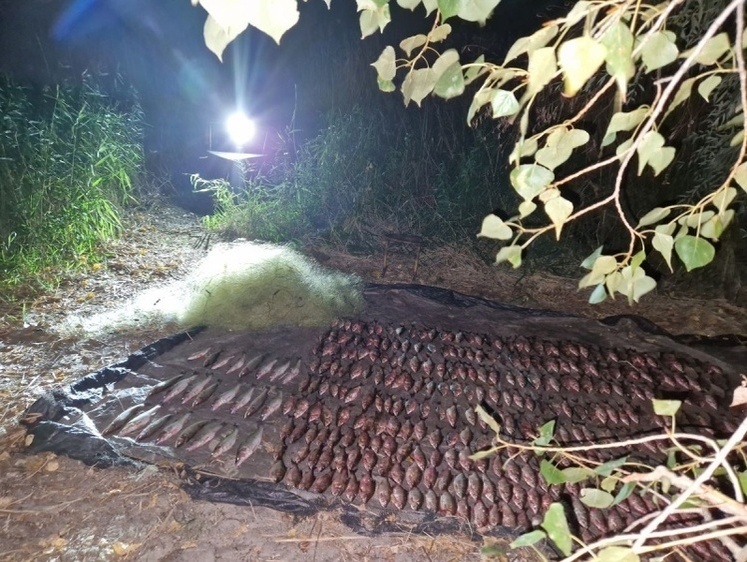 Изображение 300 метров ставных сетей изъяли у браконьера-ростовчанина