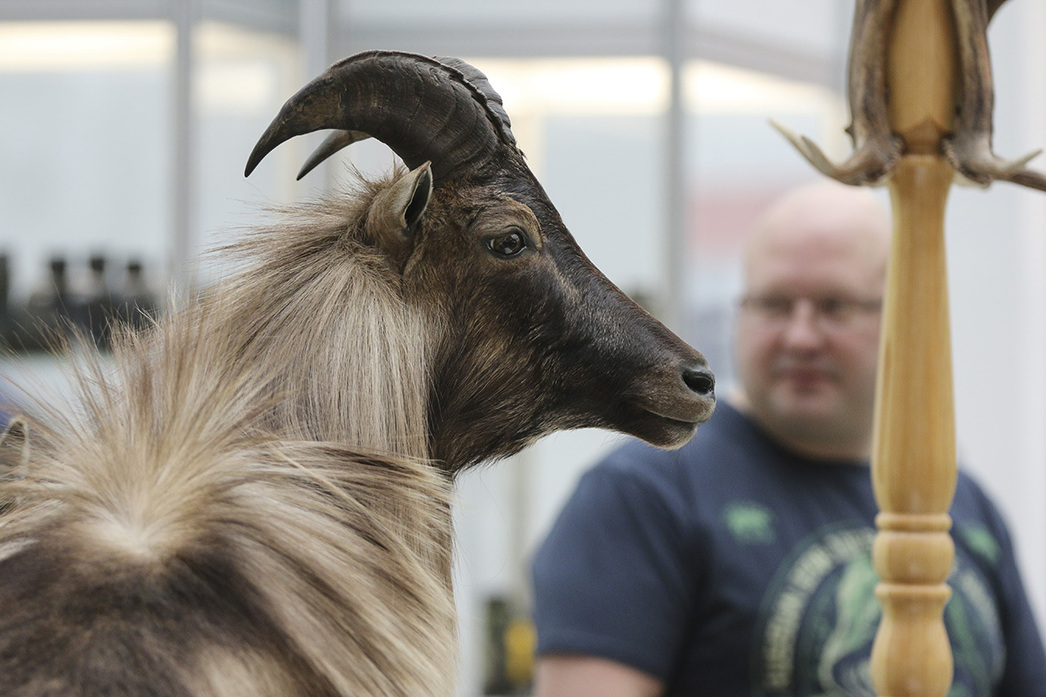 Изображение Фото: Геннадий Черкасов