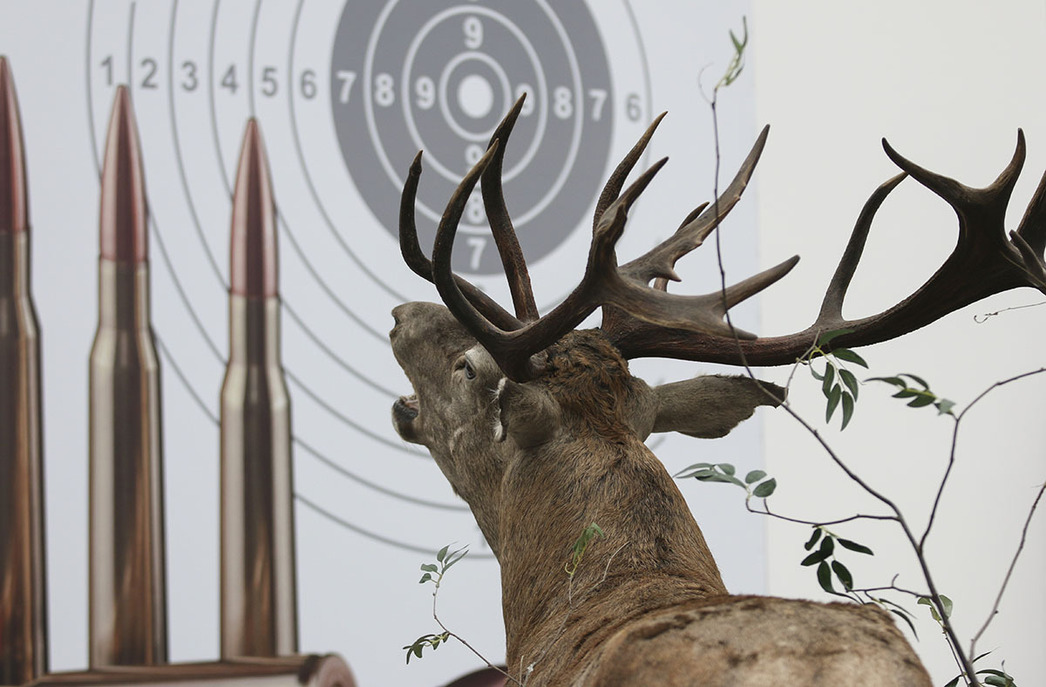 Изображение Фото: Геннадий Черкасов