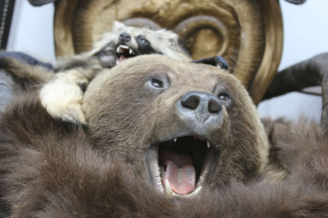 Изображение Фото: Геннадий Черкасов