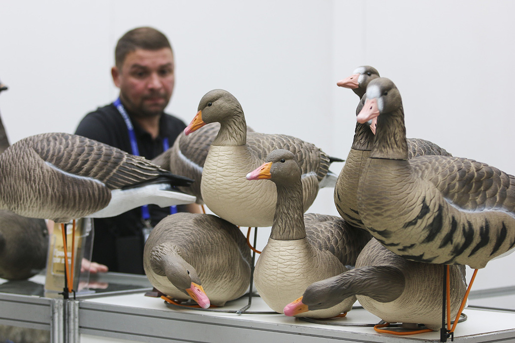 Изображение Фото: Геннадий Черкасов