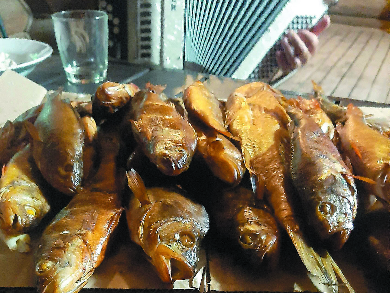 Изображение Сладковатое, без костей мясо окуня — деликатес, даже без пива.  Фото: Тоболь Евгении. 