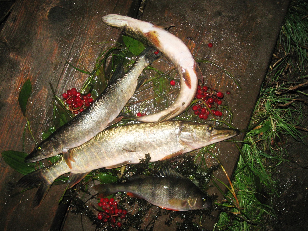 Изображение Фото: Токарева Александра. 