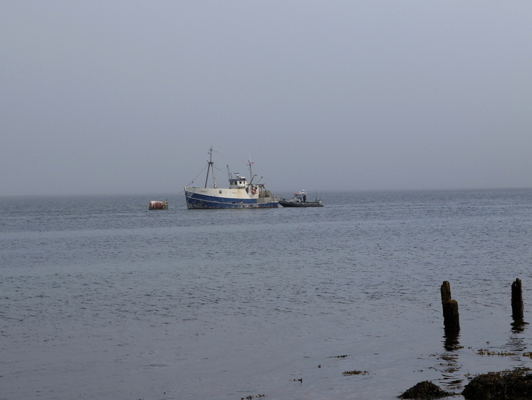 Изображение Матрос с рыболовецкого судна упал за борт в Баренцевом море