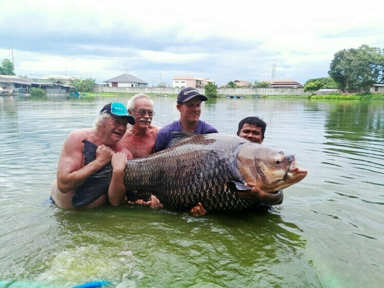 Изображение В Тайланде побили мировой рекорд 2019 года, поймав карпа весом 114 кг