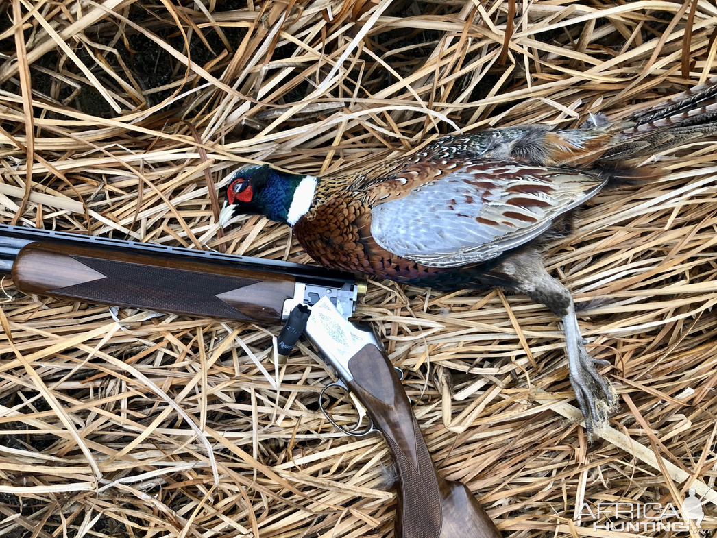 Изображение Фото: africahunting.com