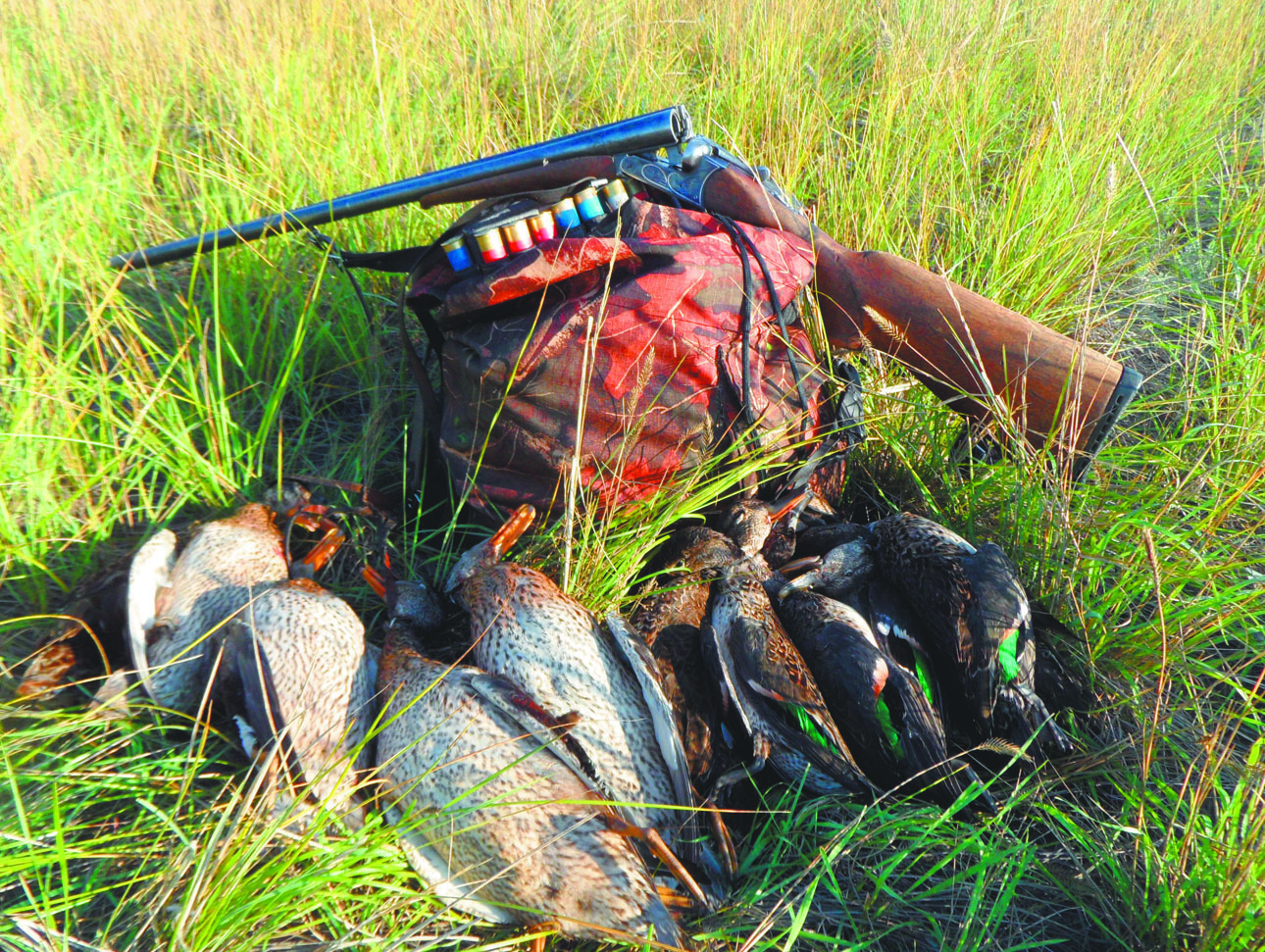 Изображение Фото автора. 