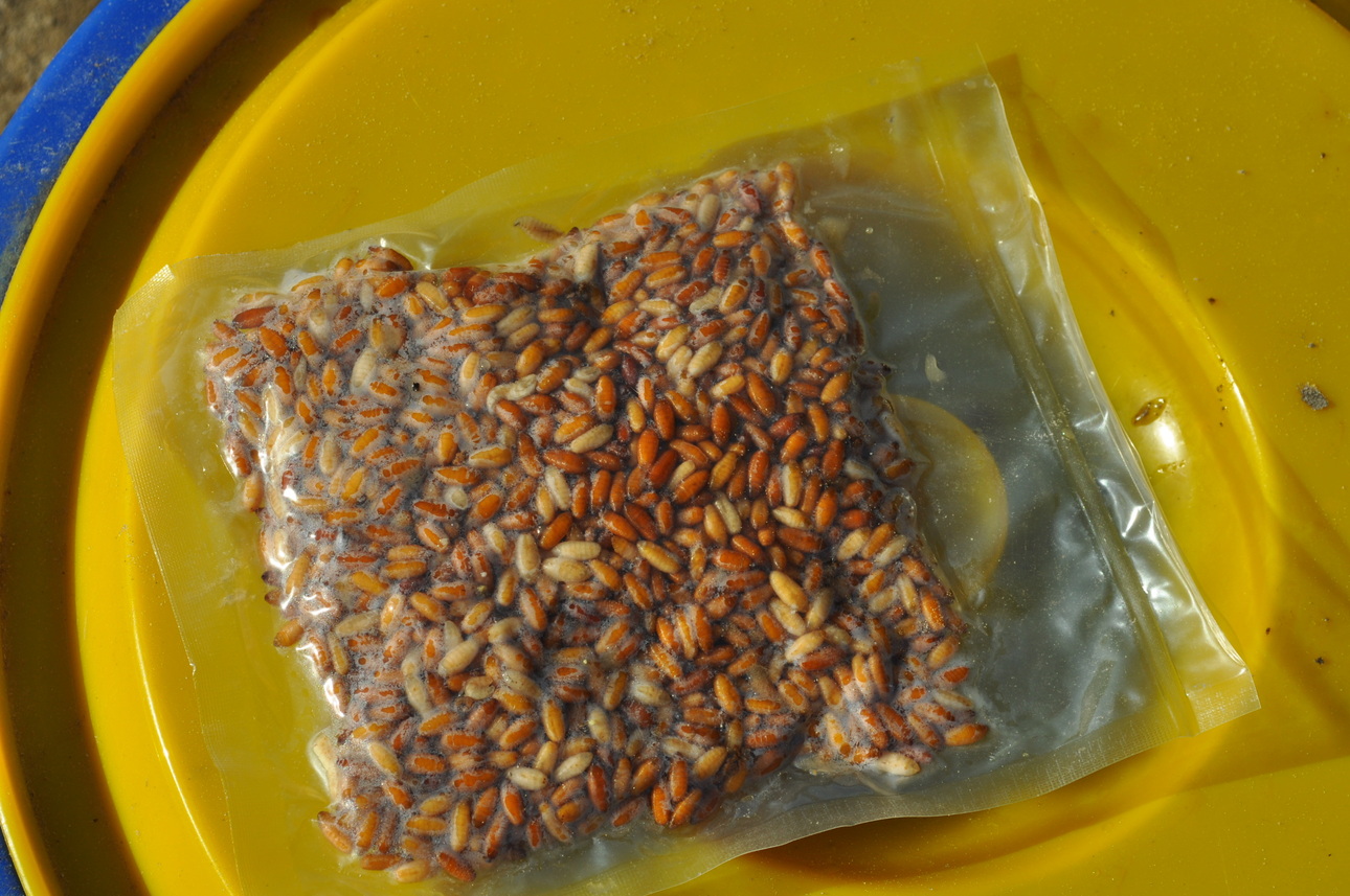 Изображение Фото: Линника Николая.