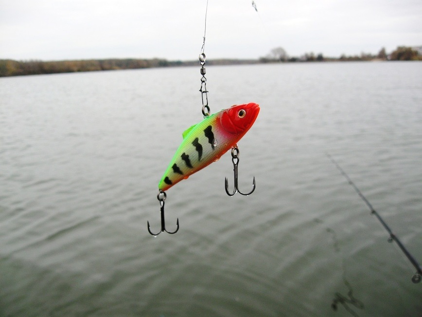 Изображение Фото: Токарева Александра.