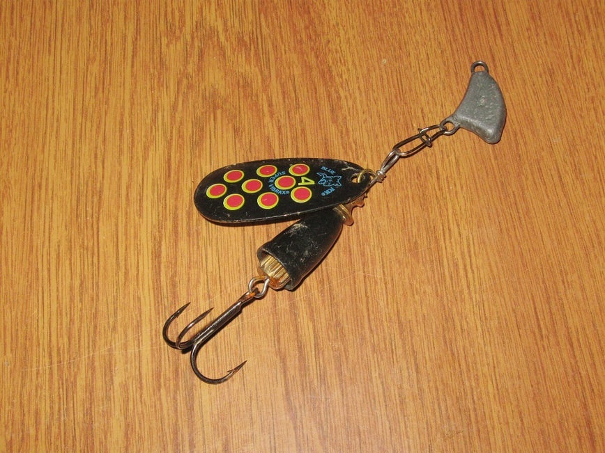 Изображение Фото: Токарева Александра.