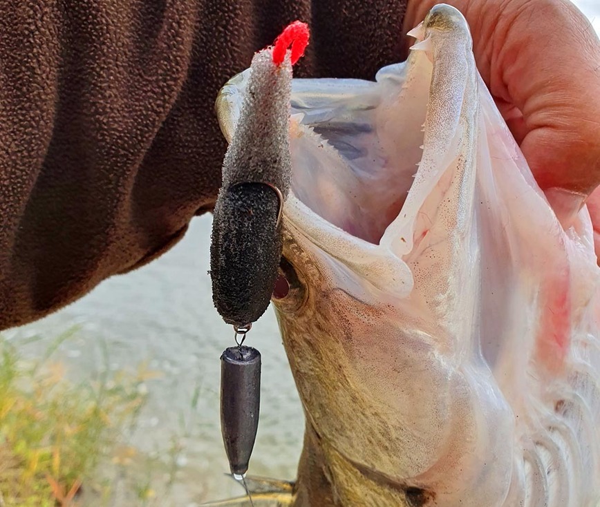 Изображение Фото: Коломийца Алексея. 