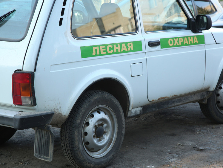 Изображение Амурские охотники за фазанами едва не угробили инспектора в лесу