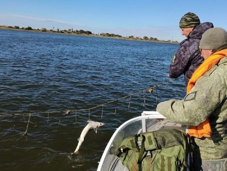 Изображение Траление водоемов принесло километр сетей и 14 крючковых самоловов