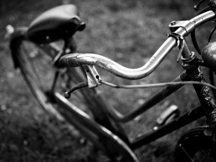 Изображение В полях под Калининградом охотник нашел велосипед и труп рыбака