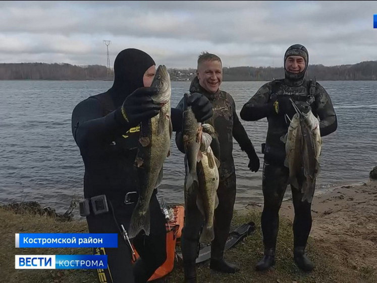 Где 100 грамм? Рыбак из РФ почти дотянулся до рекорда США по судаку ...