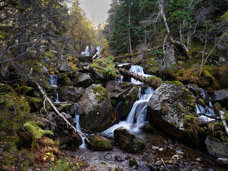 Изображение Хозяин угодий шельмует карты: под Владимиром стерли памятники природы
