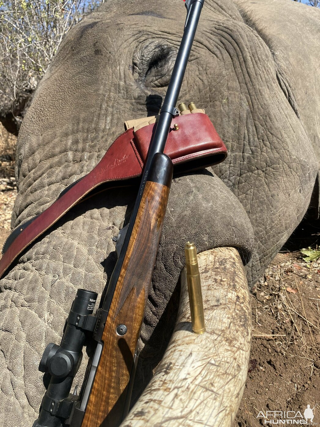 Изображение Фото: africahunting.com