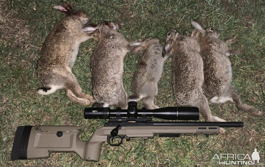 Изображение Фото: africahunting.com