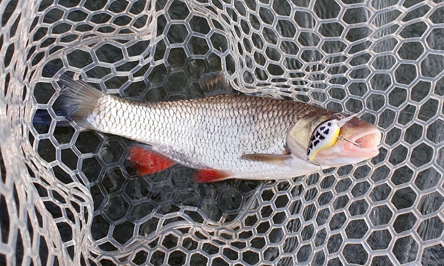 Изображение Фото: Коломийца Алексея. 