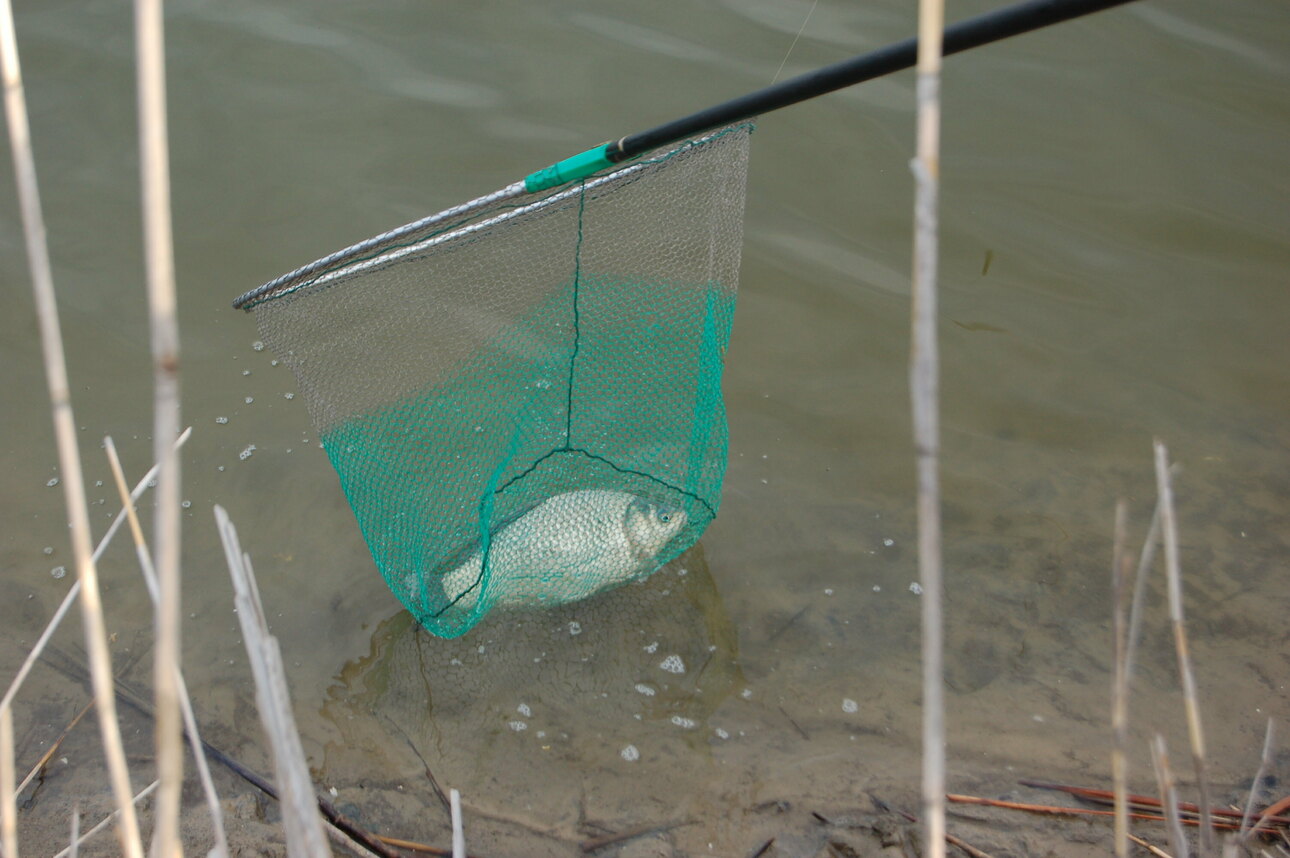 Изображение Фото: Яншевского Андрея. 