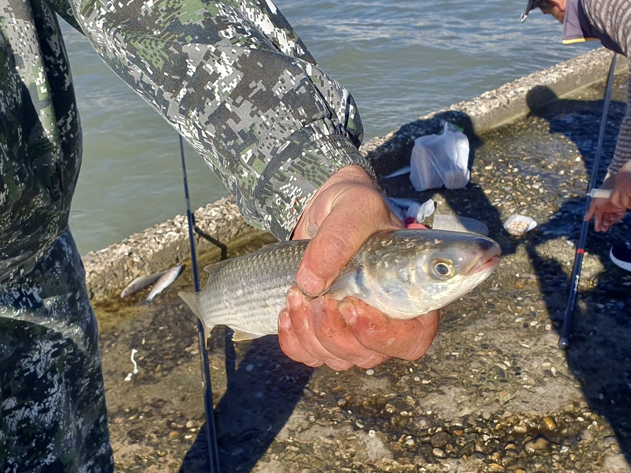 Изображение Во время хорошего клева на уловистых волнорезах очень многолюдно. Фото: Шеляга Геннадия.