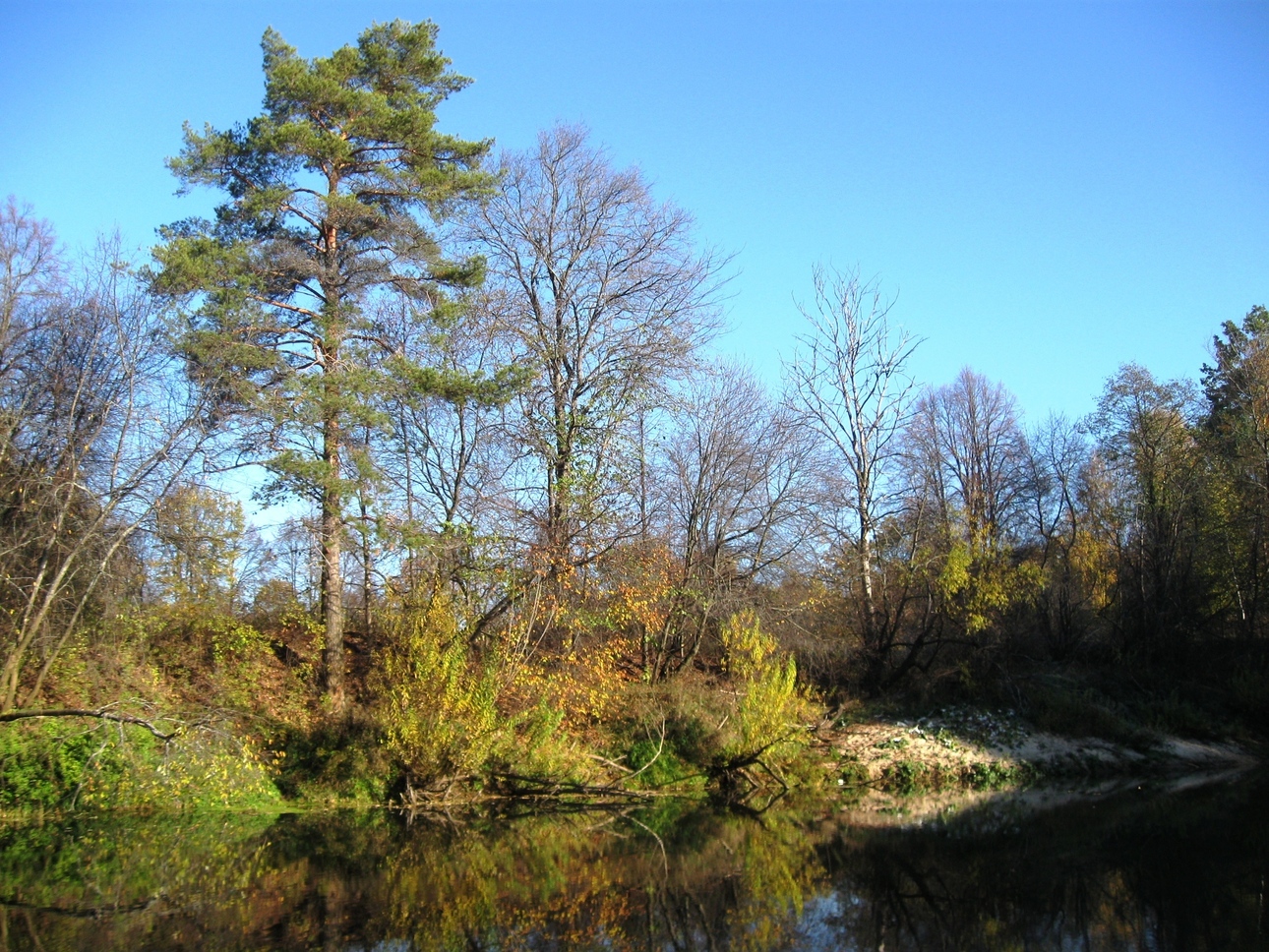 Изображение Фото: Токарева Александра. 