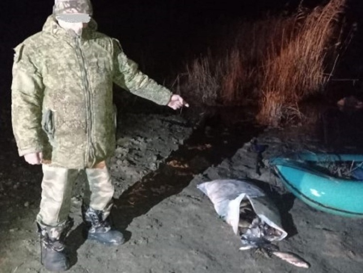 Изображение В Ики-Бурульском районе полицейскими пресечена добыча рыбы