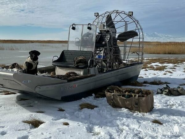 Изображение Фото: africahunting.com