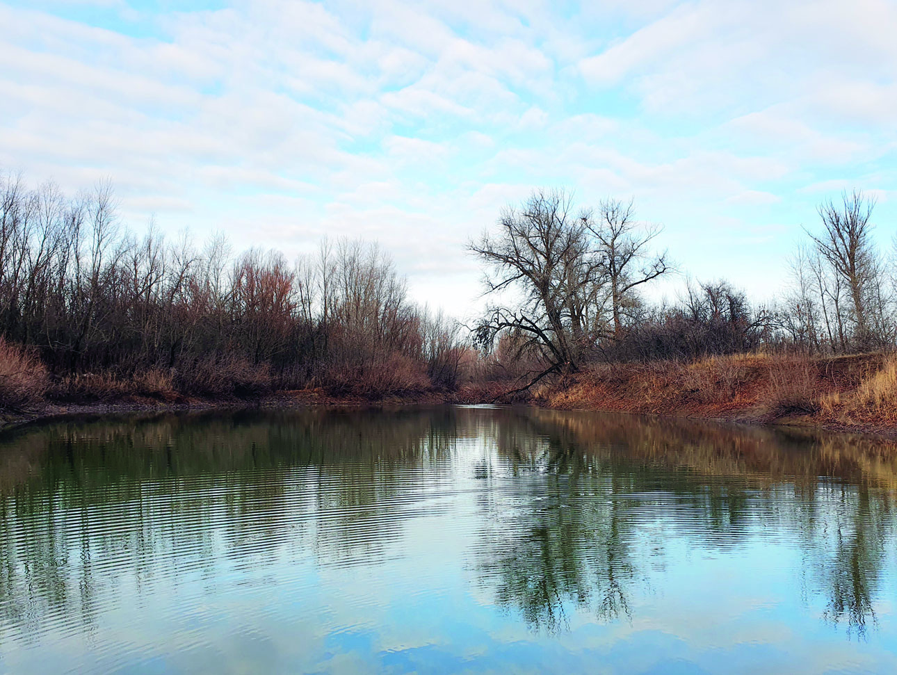Изображение Фото автора.