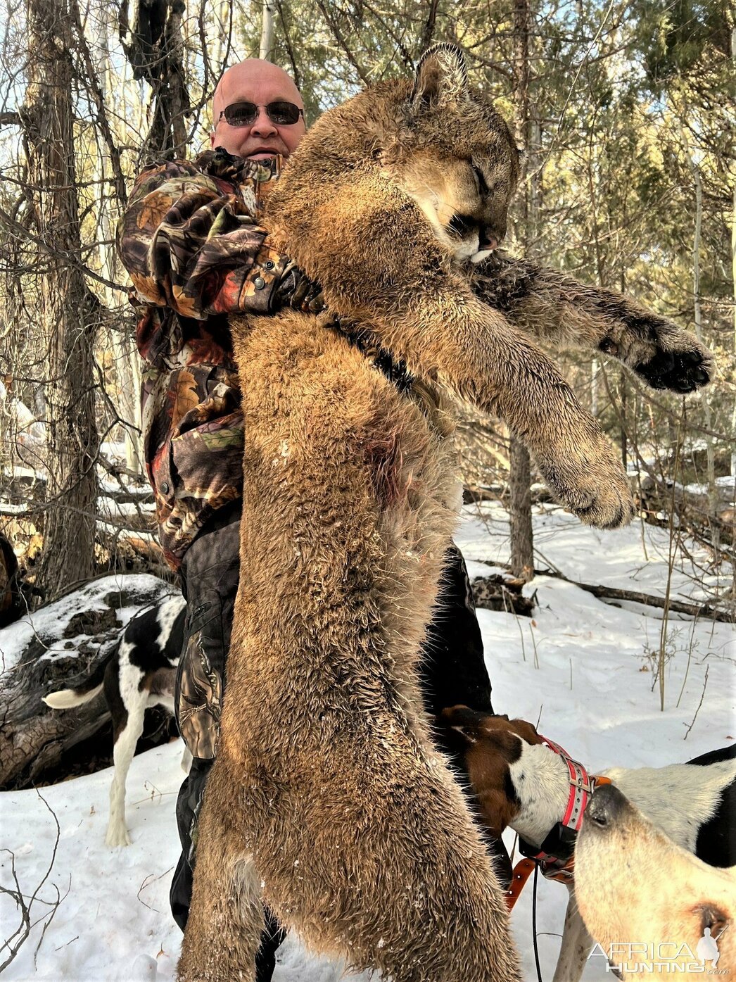 Изображение Фото: africahunting.com