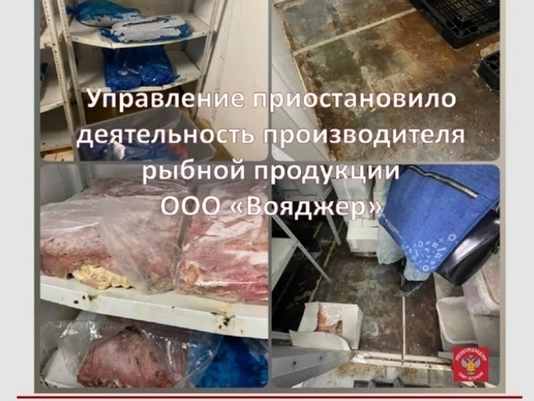 Изображение Как вкусны и нежны крабы, пойманные в Москве и расфасованные в Питере