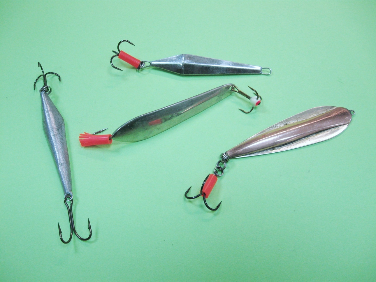 Изображение Фото: Токарева Александра. 