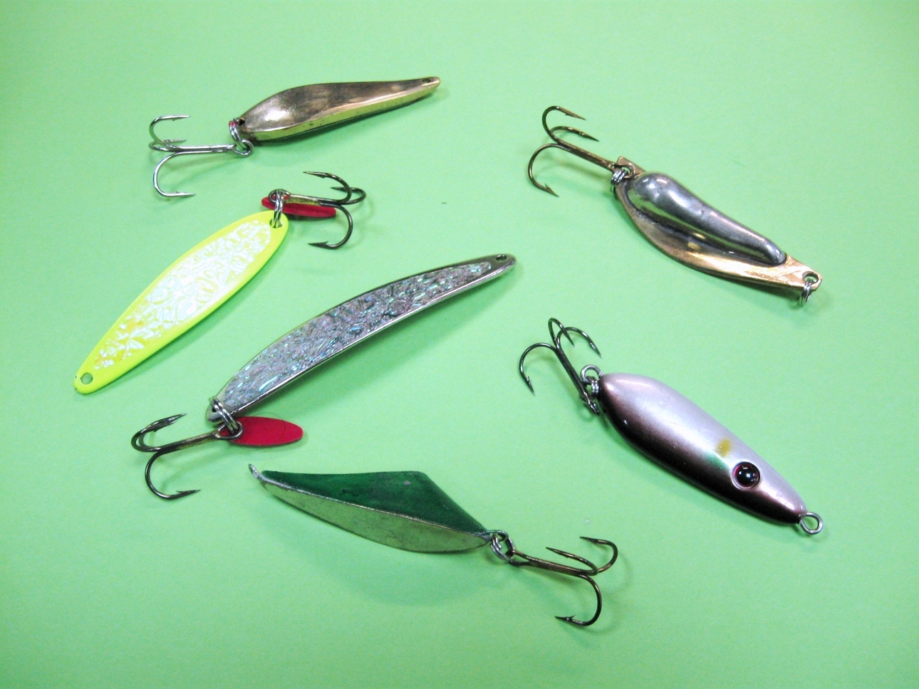 Изображение Фото: Токарева Александра. 